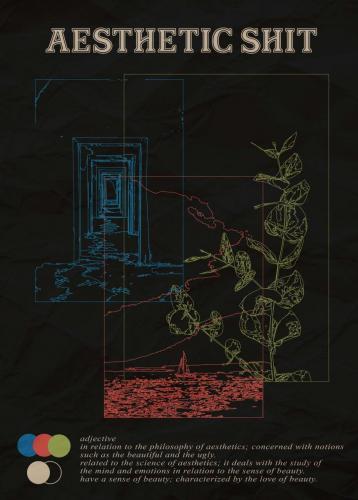 Aestheticshit